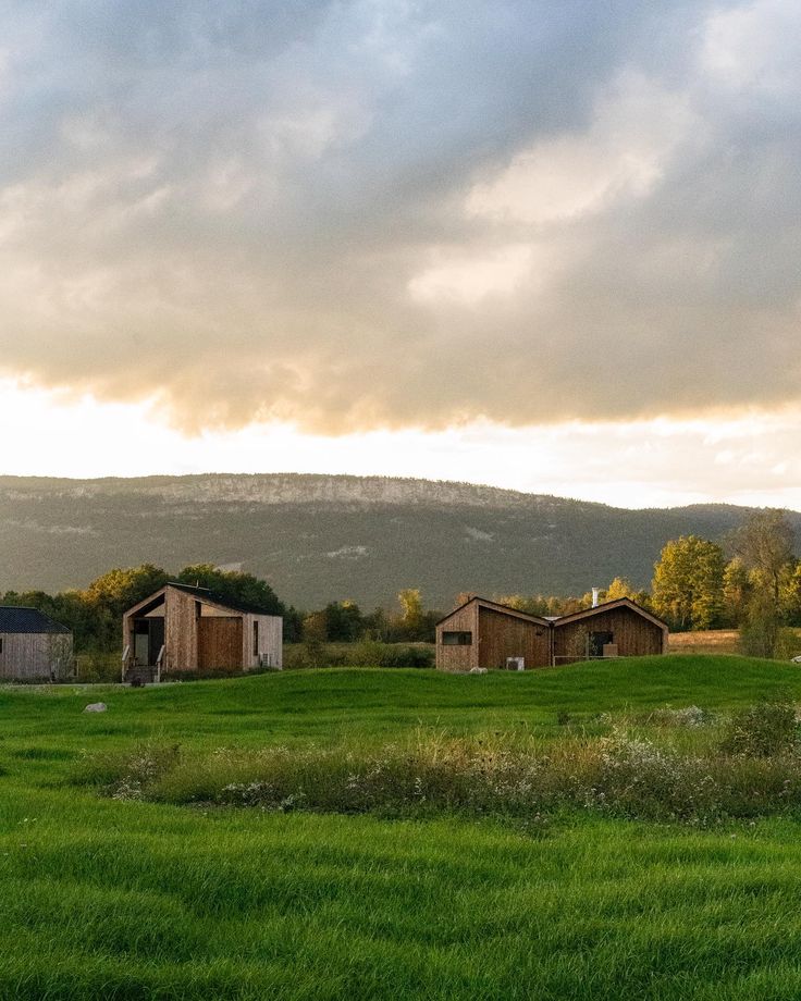 Cabins at Wildflower Farms, a modern Upstate New York wedding venue surrounded by meadows and mountain views.