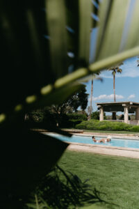 A swimmer in the estate pool framed by palm fronds at golden hour, Menorca