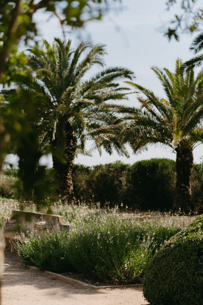 Palm trees and lavender in the manicured gardens at Vestige Son Vell, Menorca
