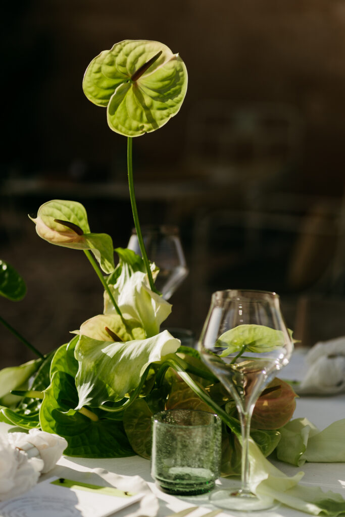 Green anthurium centerpiece with glassware at a welcome dinner