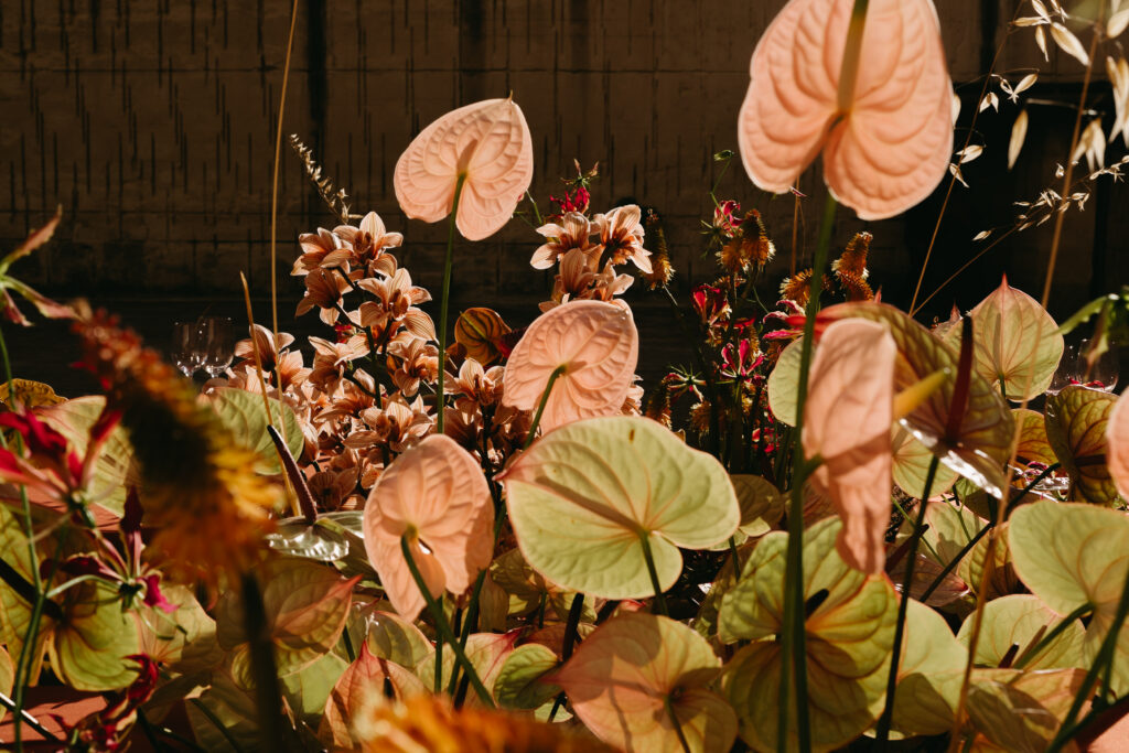 Blush anthuriums and orchids in warm golden light, wedding florals at Lithica Quarry, Menorca — designed and produced by Fox & Quinn.