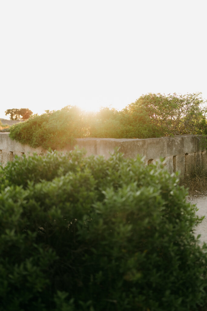 Golden hour light through Mediterranean greenery at the edge of Lithica Quarry, Menorca.