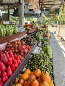 Colorful tropical fruits displayed at an open-air market stand in Costa Rica.