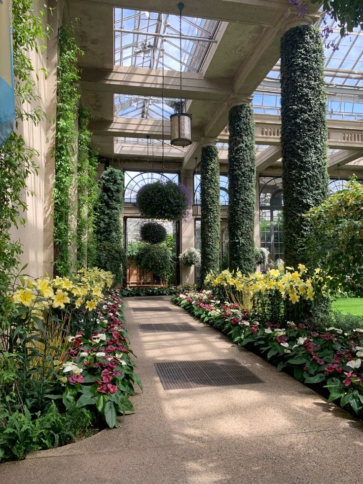 Pathway through Longwood Gardens’ conservatory framed by towering ivy-covered columns, hanging floral orbs, and lush borders of yellow lilies and deep pink anthuriums under a vaulted glass ceiling.